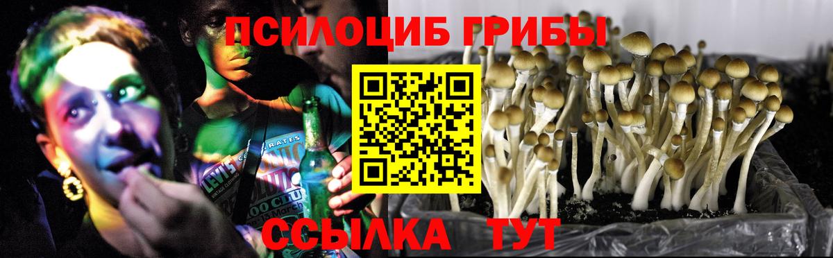 Псилоцибиновые грибы мухоморы Лянтор
